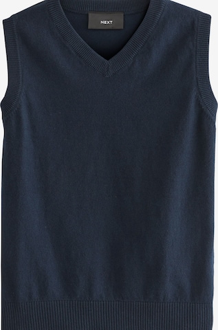 Pullover di Next in blu: frontale