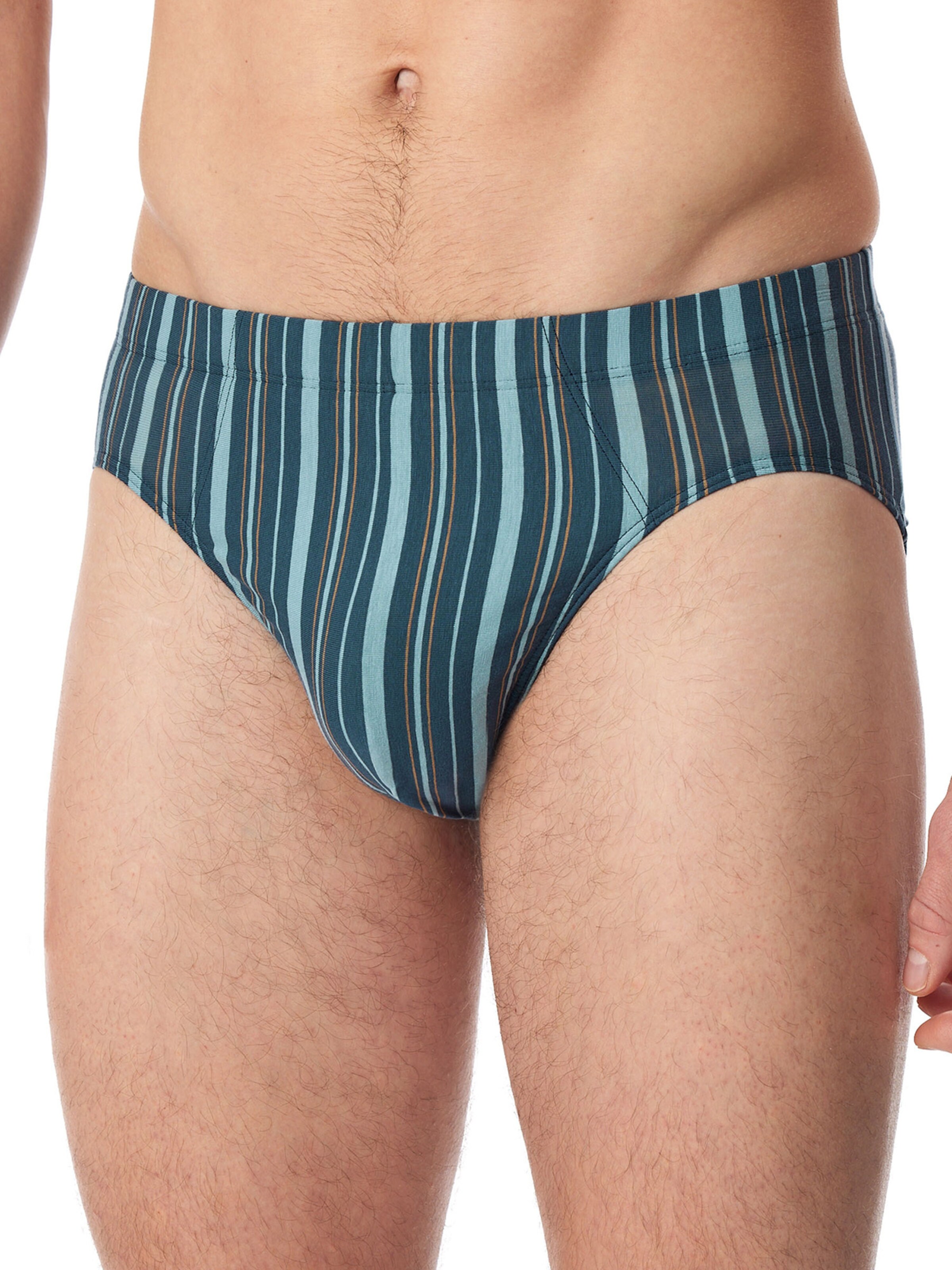 SCHIESSER Slip in Mixed colours: front