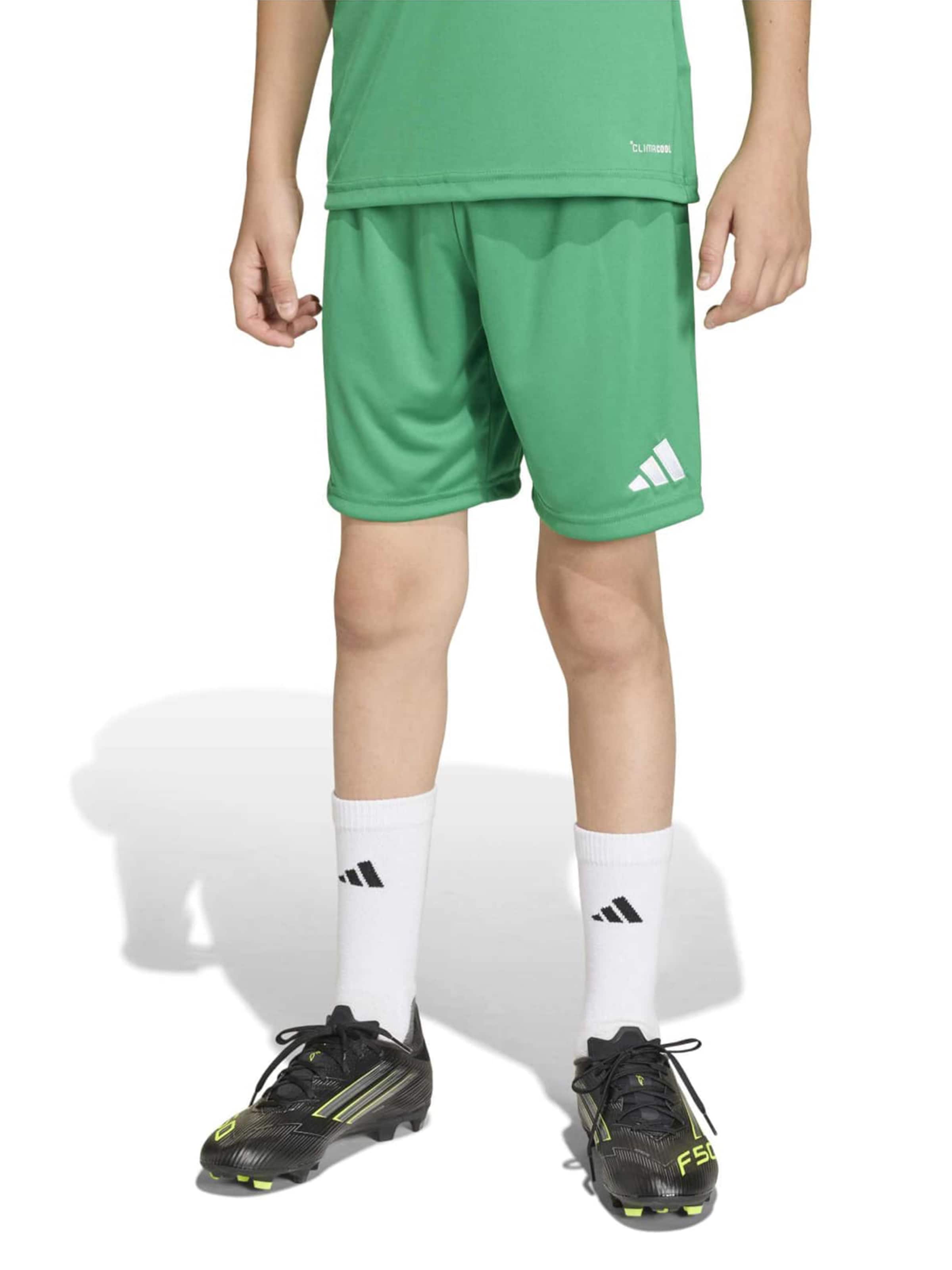 Regular Pantalon de sport 'ENT26' ADIDAS PERFORMANCE en vert : devant