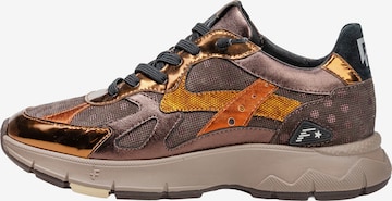 Floris van Bommel Sneaker 'Daysi 05' in Braun: Vorderseite