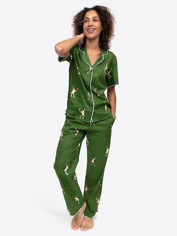 Cyberjammies Slaapshirt 'Charlie' in Groen