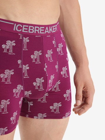ICEBREAKER Sportovní spodní prádlo 'Anatomica' – fialová