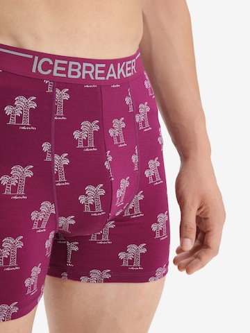 ICEBREAKER Sportunterhose 'Anatomica' in Lila