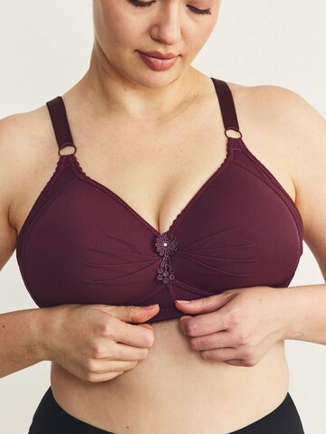 Bustier Soutien-gorge C&City en violet
