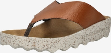 Asportuguesas Zehentrenner in Braun: Vorderseite