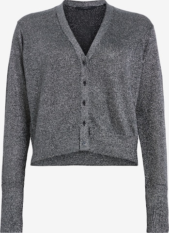 AllSaints Strickjacke 'LYRA' in Silber: predná strana