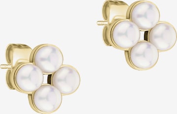 Tamaris Ohrringe in Gold: Vorderseite