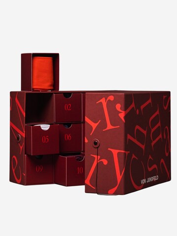 Von Jungfeld Socks 'Weihnachtskalender mit Socken' in Mixed colors