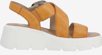 Rieker EVOLUTION Strap Sandals ' W1550 ' in Orange