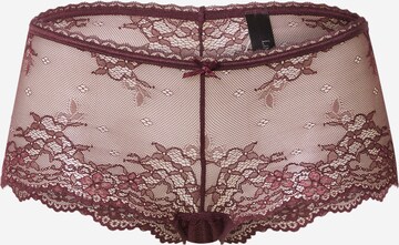 LingaDore Broekje 'Daily Lace' in Lila: voorkant