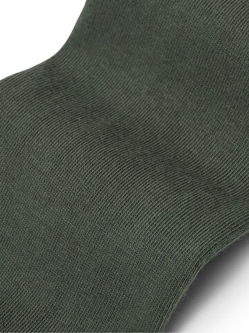 Von Jungfeld Socks 'Herbstfarben' in Green