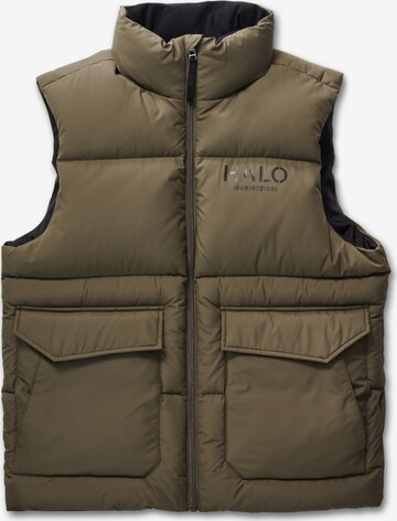 HALO Bodywarmer in Bruin: voorkant