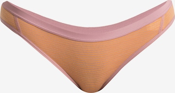 Sous-vêtements de sport 'Siren' ICEBREAKER en rose : devant
