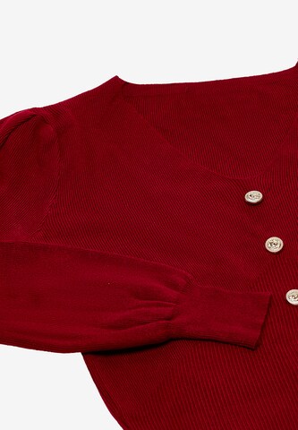 caspio Sweater in Red