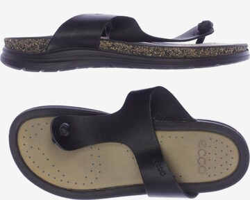 ECCO Sandals & Slippers in 40 in Black: front