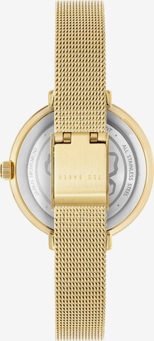 Ted Baker Analoguhr in Gold: predná strana