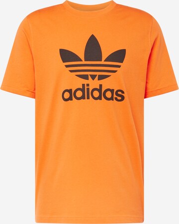 ADIDAS ORIGINALS - Camisa 'Adicolor Classics Trefoil' em laranja: frente