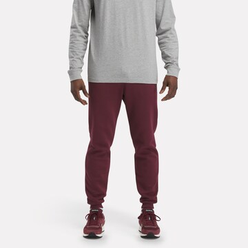 Reebok Tapered Pants 'Identity' in Purple: front