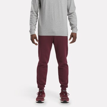 Reebok Tapered Sporthose 'Identity' in Lila: predná strana