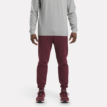 Reebok Tapered Workout Pants 'Identity' in Purple: front