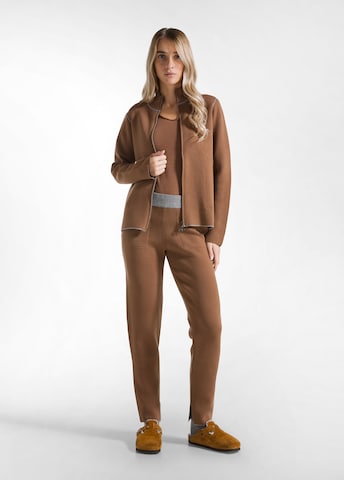 DEHA Regular Trousers in Brown