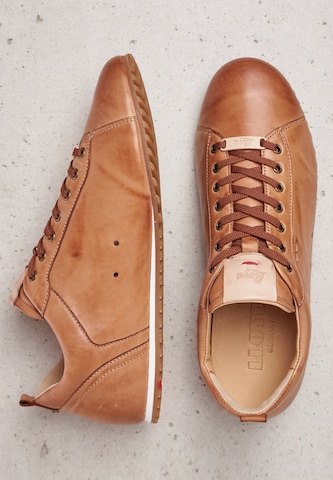 LLOYD Schuhe in Braun