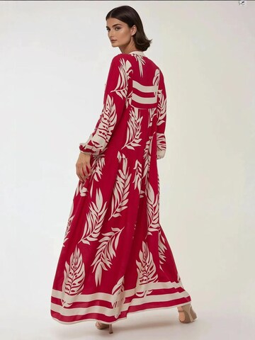 Hiccup Kleid in Rot