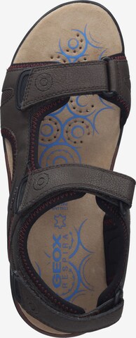 GEOX Hiking Sandals in Brown