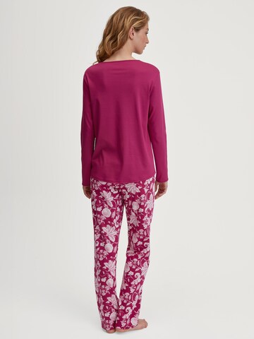 CALIDA Pajama 'Sweet Dreams' in Purple