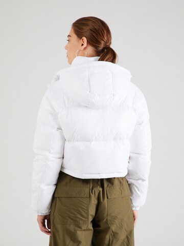 Tommy Jeans - Chaqueta de invierno 'Alaska' en blanco