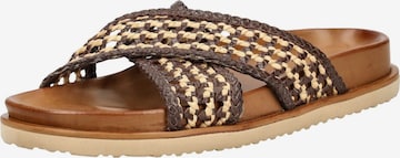 INUOVO Pantolette in Braun: Vorderseite