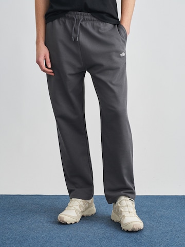 THE NORTH FACEregular Hlače 'ESSENTIAL' - siva boja