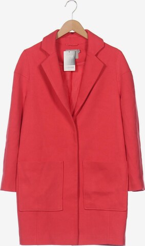Asos Jacket & Coat in XXS in Pink: front