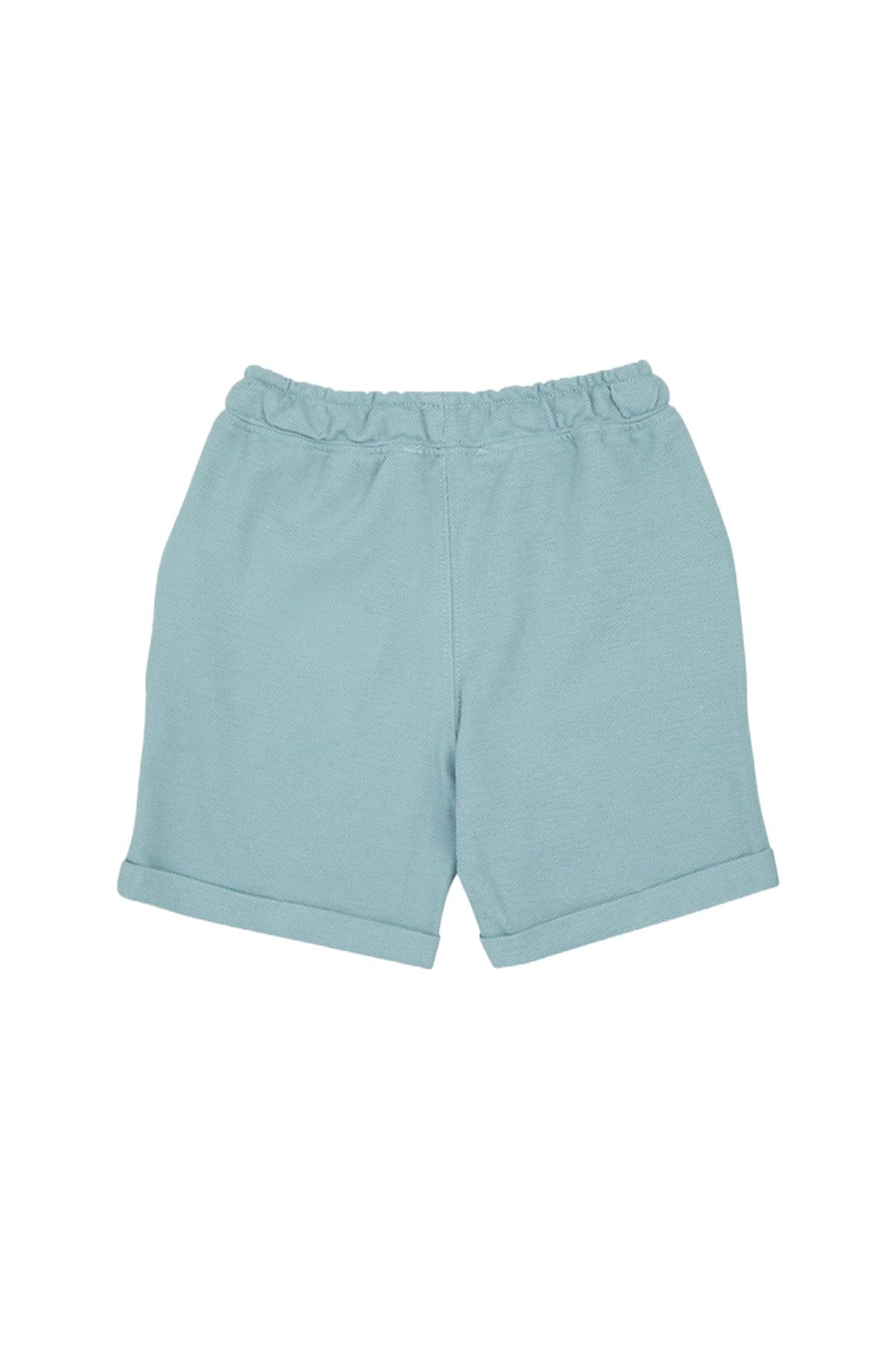 Panço Regular Pants in Green