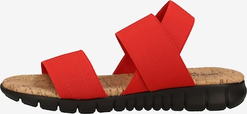 Rapisardi Sandals in Red