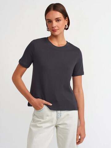 Dilvin T-Shirts in Grau: Vorderseite