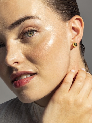 Luxenter Earrings 'Gnis' in Gold