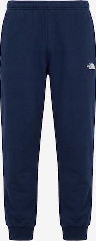 THE NORTH FACE Hose 'EVOLUTION SIMPLE DOME' in Blau: Vorderseite