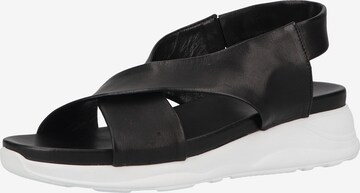 ILC Strap Sandals in Black: front