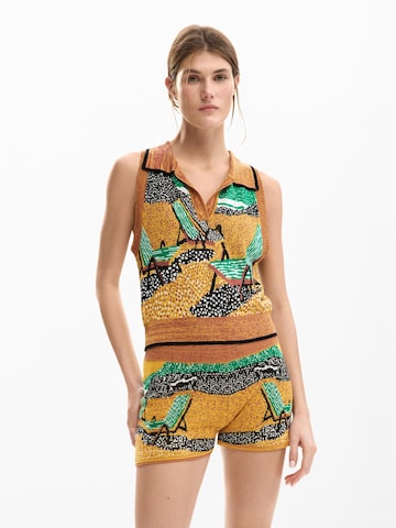 brūns Desigual Džemperis: no priekšpuses