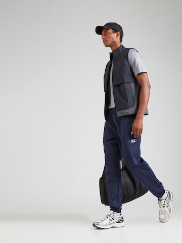 Regular Pantaloni sport de la EA7 Emporio Armani pe albastru