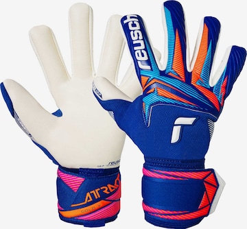 REUSCH Torwarthandschuhe 'Attrakt Gold X NC' in Blau: Vorderseite