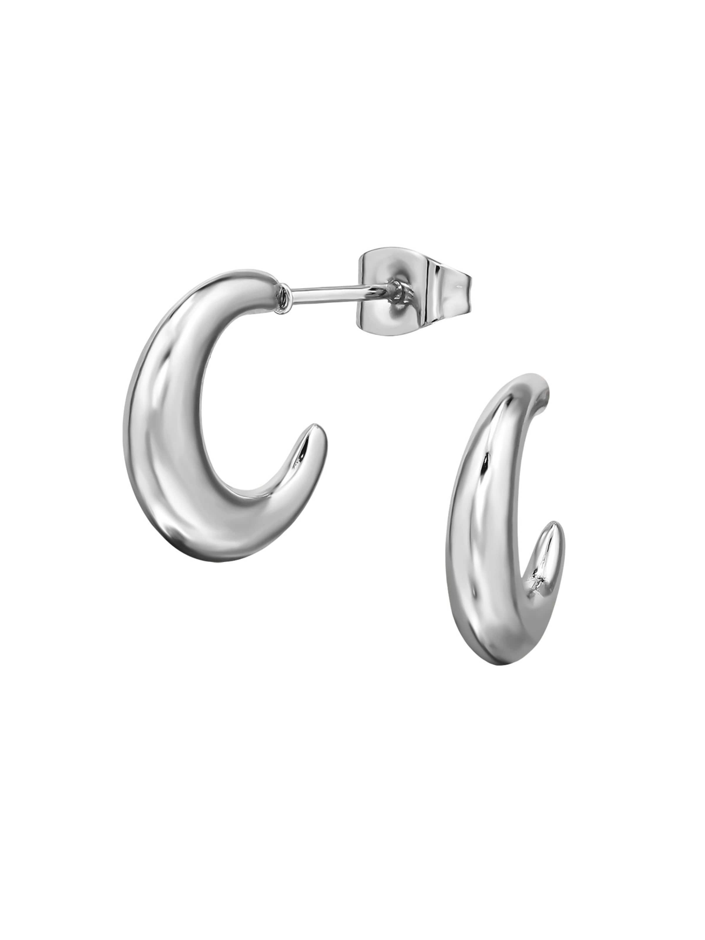Maxte Earrings in Silver: front