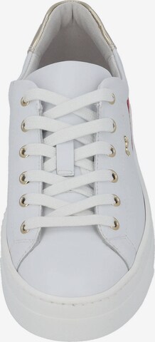 Nero Giardini Sneaker low  'E409932D' in Weiß