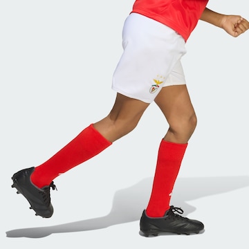 ADIDAS PERFORMANCE Trainingspak 'Benfica Lissabon 25/26' in Rood