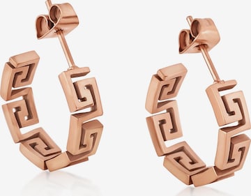 Akitsune Ohrringe 'Argius' in Gold: Vorderseite