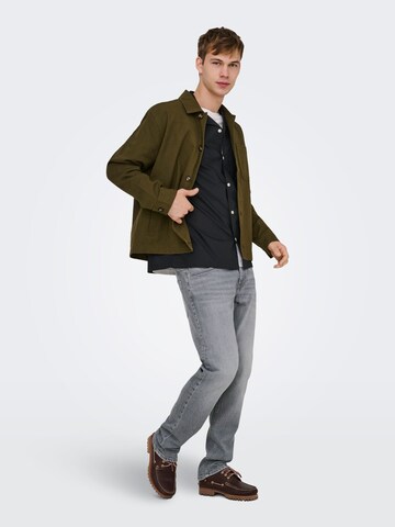 Only & Sons Regular Jeans 'ONSWOLF' in Grijs