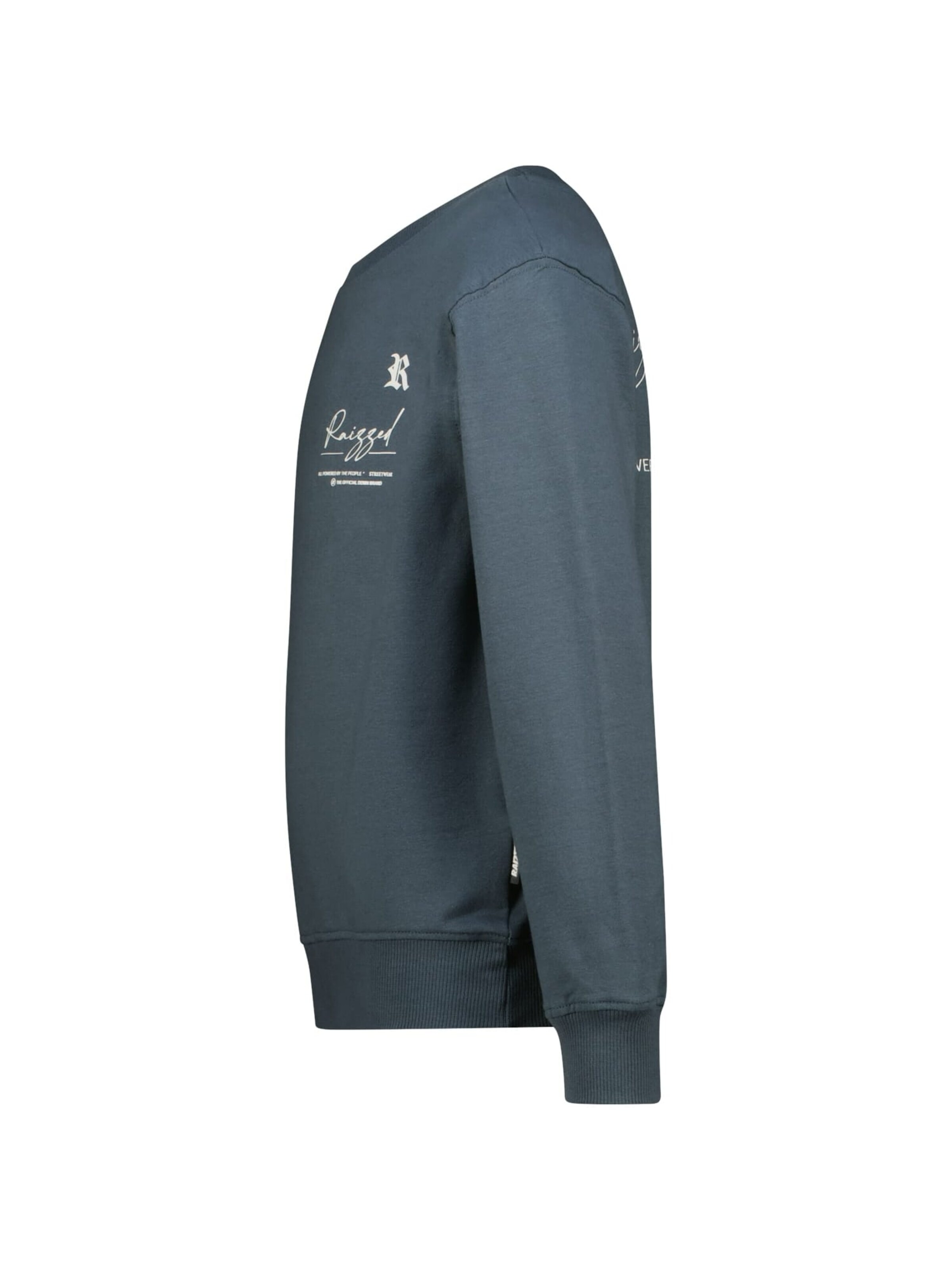 Raizzed Sweatshirt in Blauw