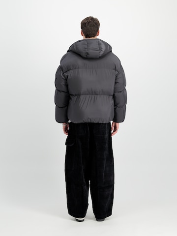 ALPHA INDUSTRIES Χειμερινό μπουφάν σε γκρι