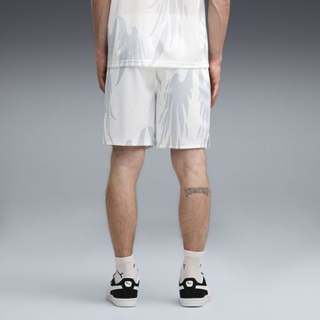 Regular Pantalon 'Rare Supply 7' PUMA en gris